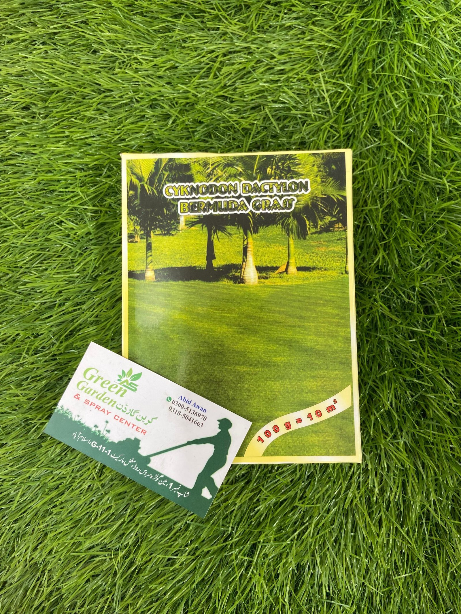 Cyknodon Dactylon Bermuda Grass Seeds - Image 2