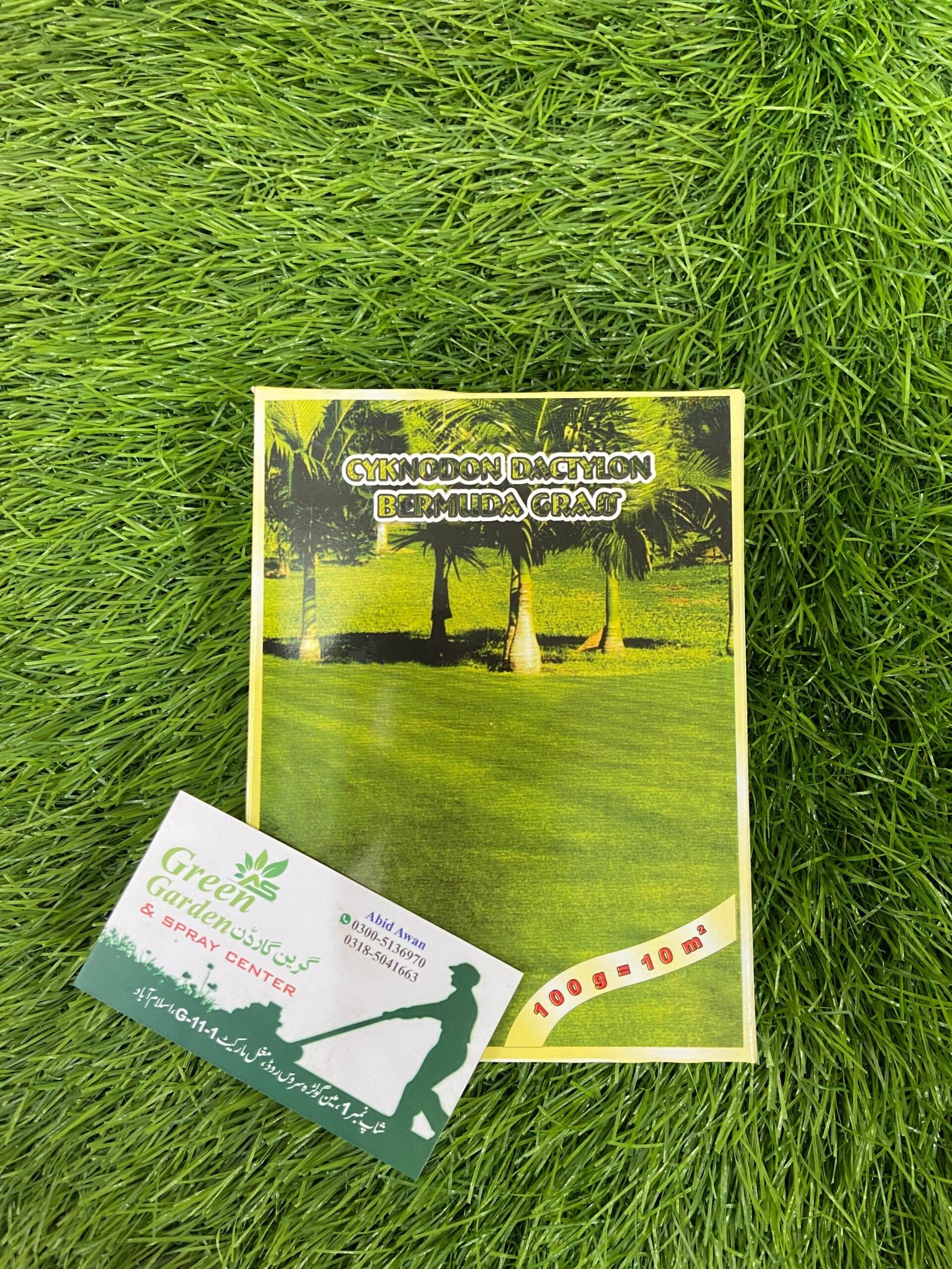 Cyknodon Dactylon Bermuda Grass Seeds